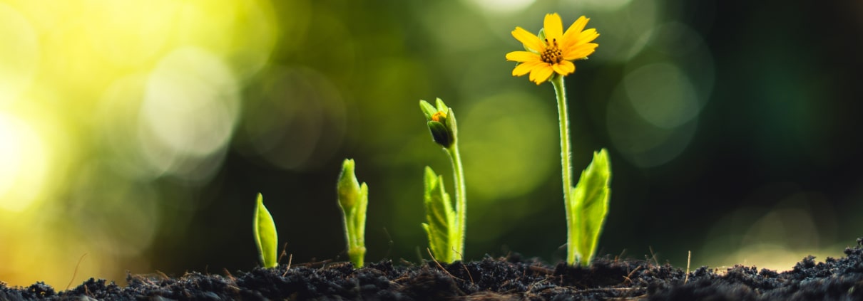 CFO-Agenda 2025: Stabilität sichern & Wachstum gestalten